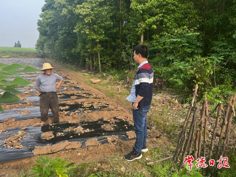 李軍田間蔬菜種植指導(dǎo).jpg